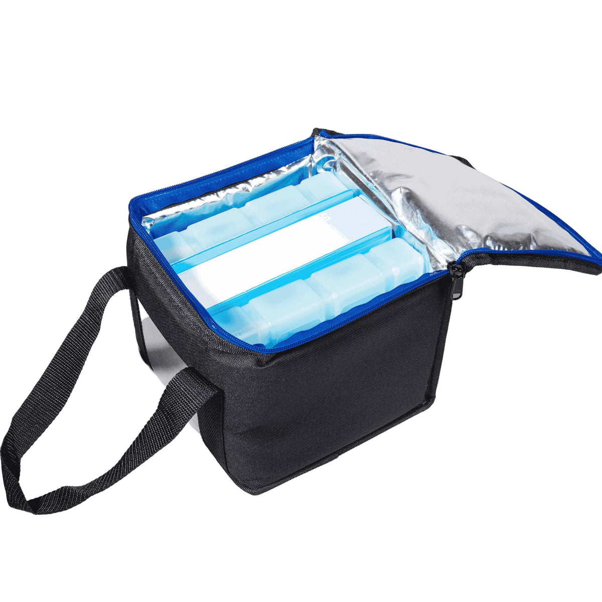 a large medication cooling bag 2-8 degrees